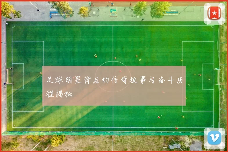 足球明星背后的传奇故事与奋斗历程揭秘